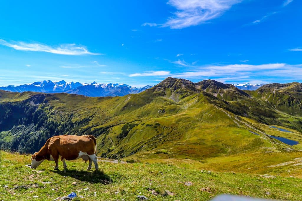 Wanderhighlight & Panorama-Gipfeltour: Der Pinzgauer Spaziergang