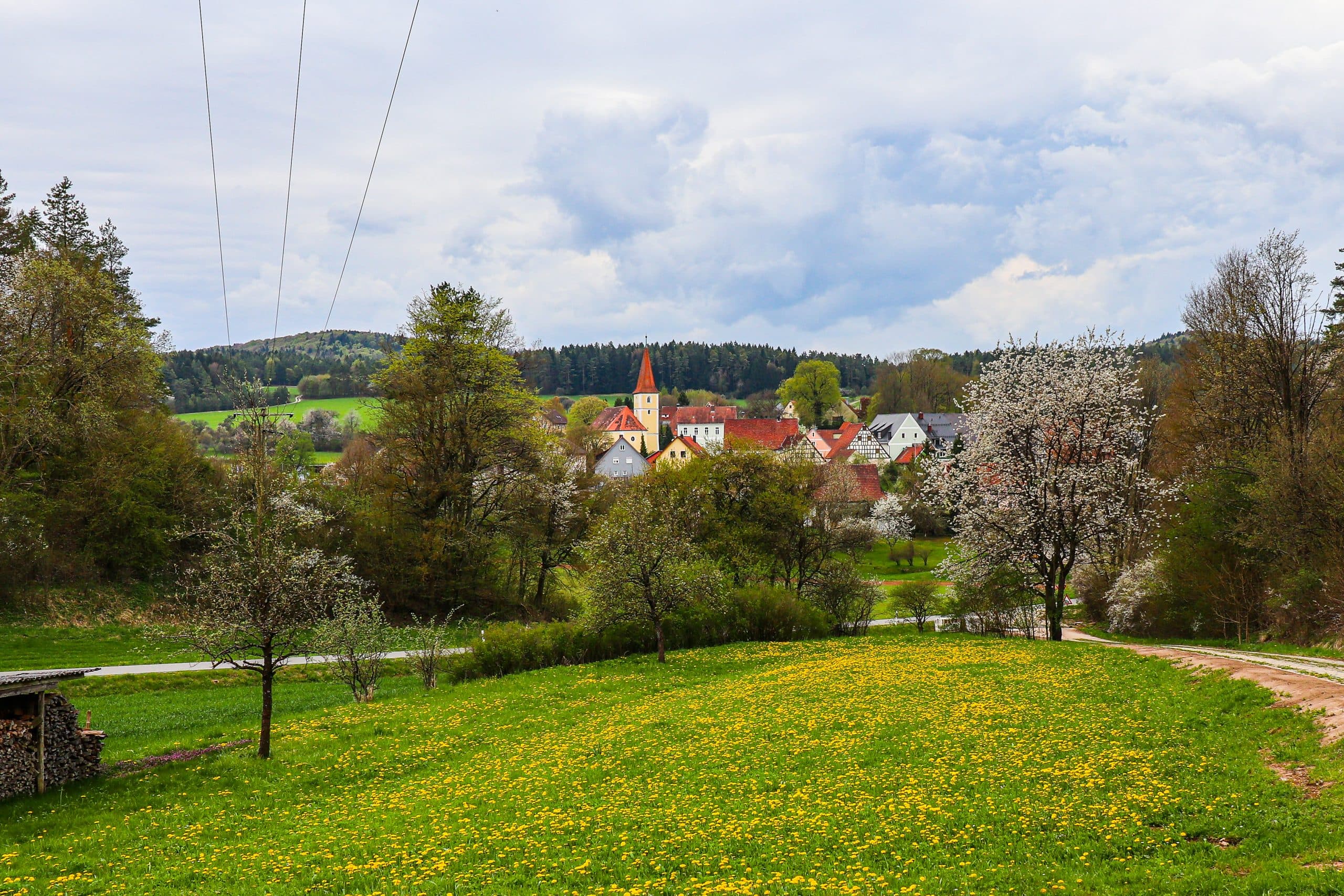 Panorama-Tagesausflug: Wandern auf dem Birglandtrail im Amberg Sulzbacher Land