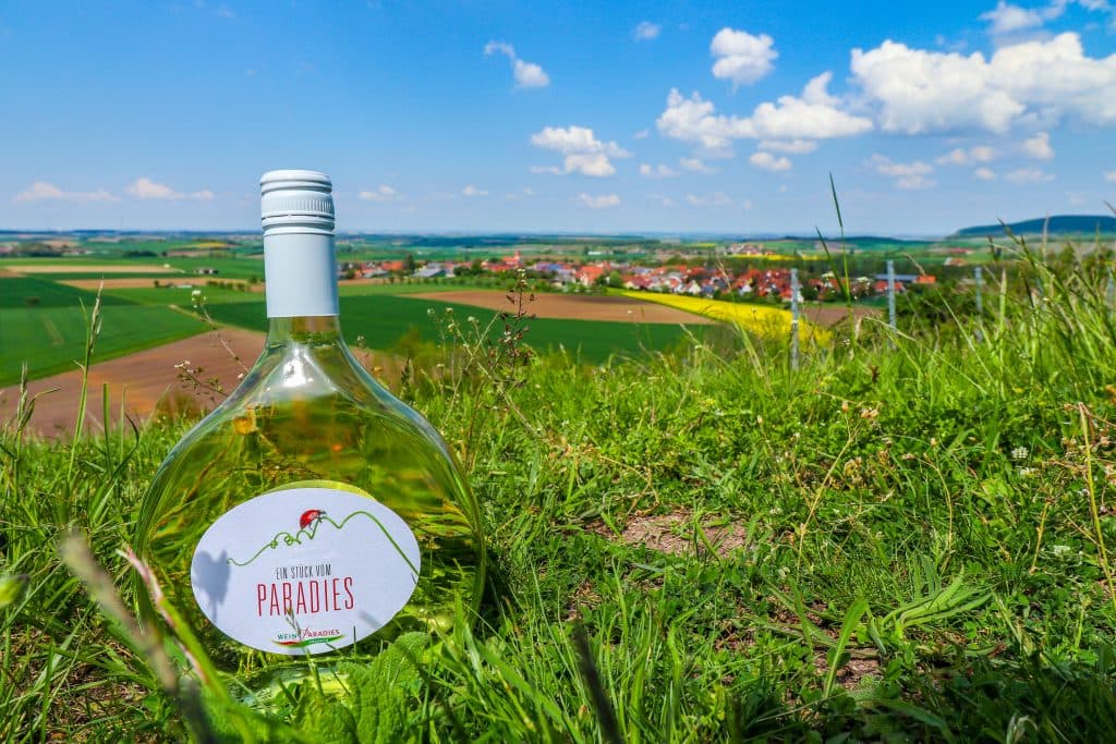 Genussvoller Tagesausflug: Wandern auf dem Weinparadiesweg im Weinparadies Franken